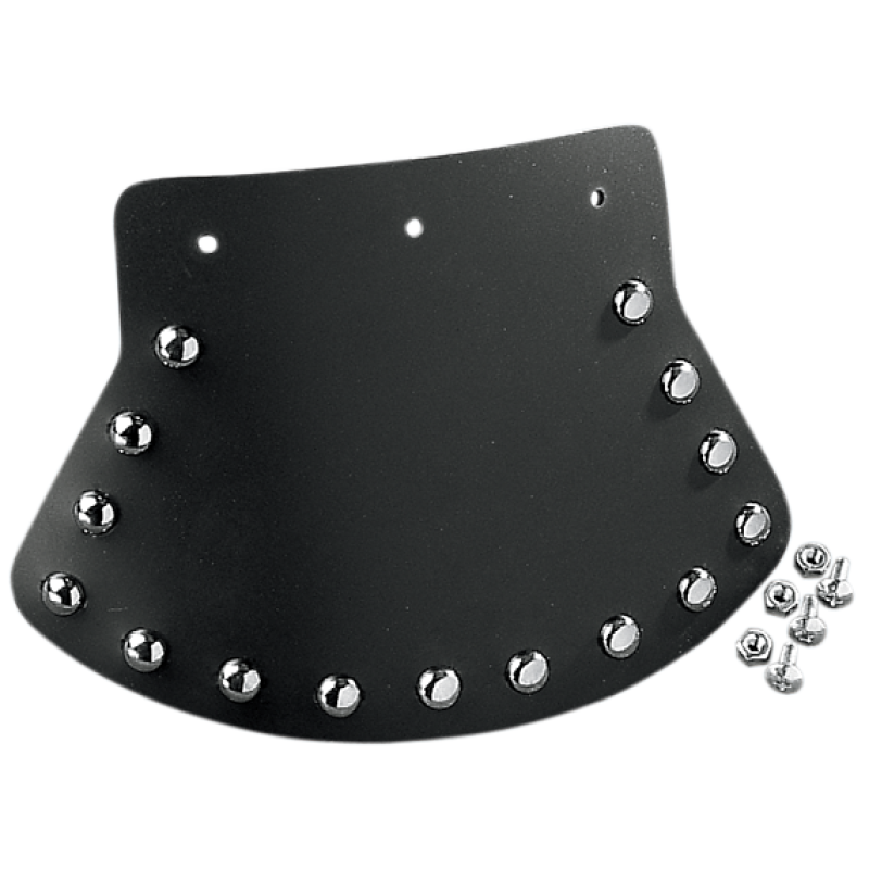 DS-393703 - Front